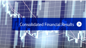 Consolidated Financial Results
