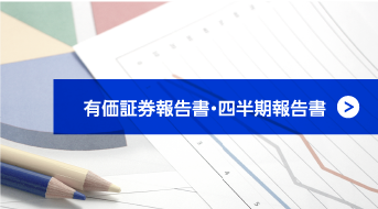 有価証券報告書・四半期報告書